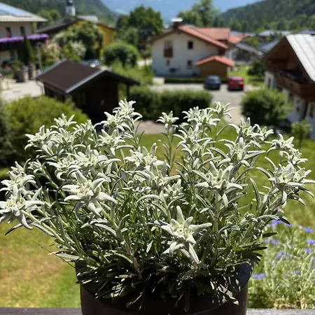 Apartamento Klausgraben *